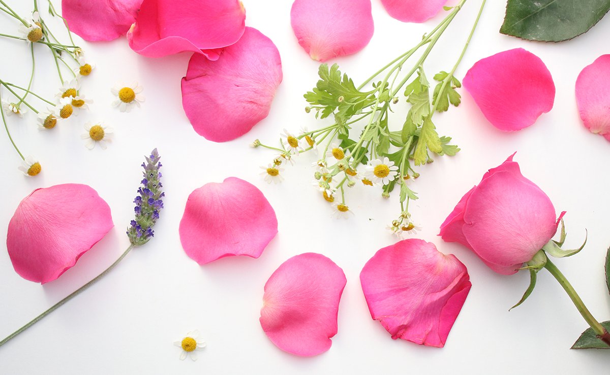 Floral Teas
