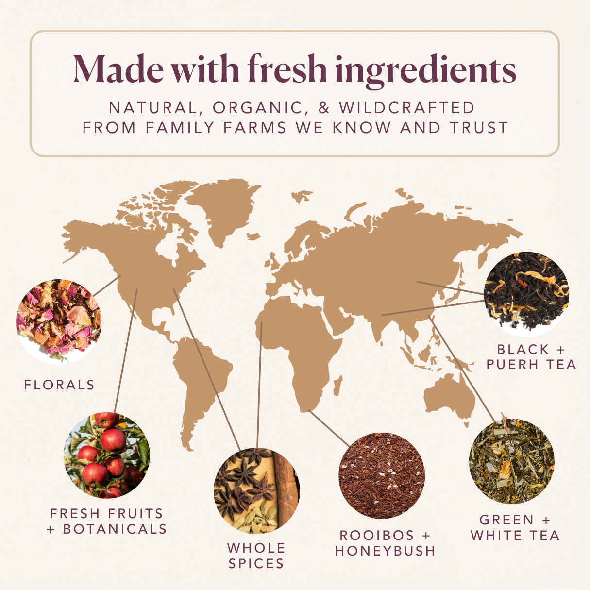 Cuddletime Herbal Tea (Chamomile - Mint)